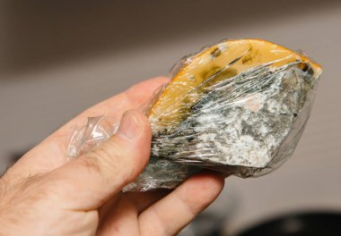 Bir el plastik filme sarılı küflü bir peynir parçası tutuyor. Yüzeyde görünen yeşil ve beyaz küf büyümesini gösteriyor. Bu da bozulmayı ve çürümeyi gösteriyor.