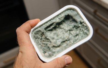 Bir el, aslında ekmek için kullanılan ağır küflenmiş ve yayılabilir peynirden oluşan açık bir kap tutuyor. Şimdi ise bozuk ve kirli olduğunu gösteren kalın mavi-yeşil küfle kaplanmış.