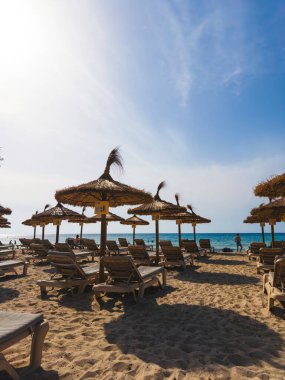 Saf kumsal şemsiyeleri ve şezlonglar Mallorca 'da denize bakıyor. Güneşli mavi gökyüzünün altında yumuşak kum ve çok az ziyaretçi var.
