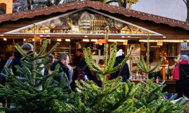 Strasbourg, Fransa - 12 Aralık 2022: Ziyaretçiler, Strasbourg Noel pazarında neşeli bir atmosferde taze yeşil köknar ağaçları ve sıcak altın ışıklarla çerçevelenmiş şenlikli bir ahşap tezgâha bakıyorlar.