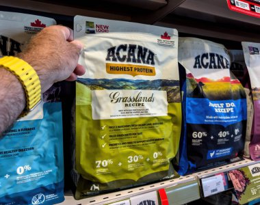 Manacor, İspanya - 17 Temmuz 2025: Acana Yüksek Protein Otlakları Tarifi köpek maması poşeti taşıyan ve manzaralı ambalaj tasarımı ve ürün raf detaylarını evcil hayvan mağazasında saklayan bir kişiye yakın çekim