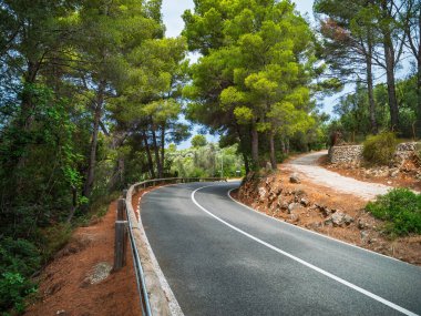 İspanya 'nın Mallorca kentindeki yoğun çam ormanı ve Akdeniz bitkileriyle çevrili kıvrımlı dağ yolu manzaralı araçlar ve doğa keşifleri için mükemmel..