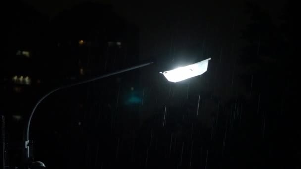 Déšť Noci Pouliční Světlo Záběry Dešťové Kapky Padající Noci Deště — Stock video