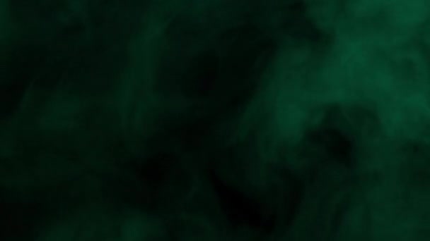 Rauch Aus Ultraschall Aromadiffusor Und Buntes Licht Auf Schwarzem Hintergrund — Stockvideo