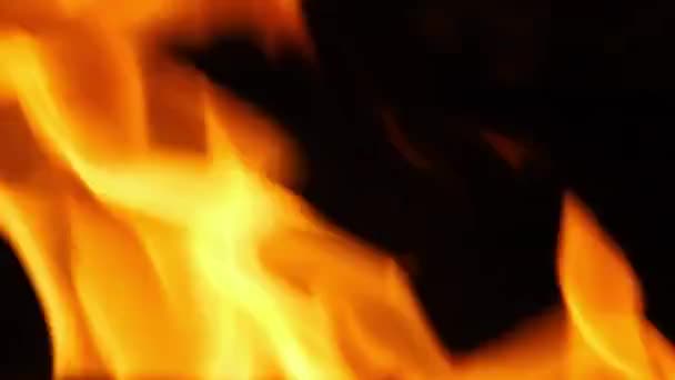 Close Footage Fire Burning Black Background Showing Fire Waving Burning — Stock Video
