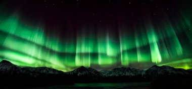 Aurora australis veya Aurora borealis veya yeşil kuzey ışıkları dağların üzerinde gökyüzü. Kutup ışıklarıyla gece gökyüzü. Güney ışıkları ve gerçek doğal kara arka plana karşı gece manzarası..