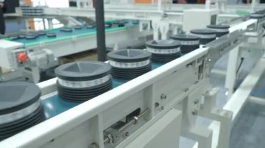 Fabrikadaki meyvelerin kalite kontrolü. Tamamen otomatikleştirilmiş meyve işleme teknolojisi gıda endüstrisi fabrikasında işleniyor. Taze meyveler taşıma bandı üretim hattında çalışıyor.