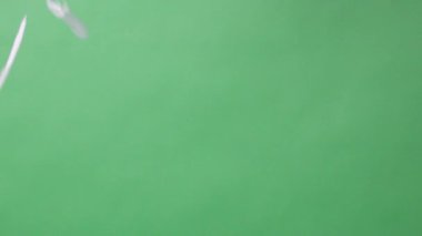Beyaz tüylerin Yavaş Hareketi veya kuş kanatlarının yeşil ekran arka plan stüdyosuna düşüşü. Yumuşak tüyün yavaşça yere düşüşü yeşil ekran krom tuşuna basıyor..