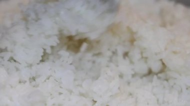 Yakın plan, pilav pişirme makinesinden plastik bir pirinç küreğiyle çıkartılan taze pişmiş beyaz pirinç. Tayland 'ın yumuşak dokusu tanecikleri eritiyor. Ev yapımı pilav pişirme yemekleri. Slow Motion görüntüleri.