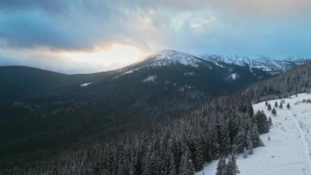 Vista Aerea Alba Montagne Foresta Invernale Con Sacco Neve Alberi — Video Stock