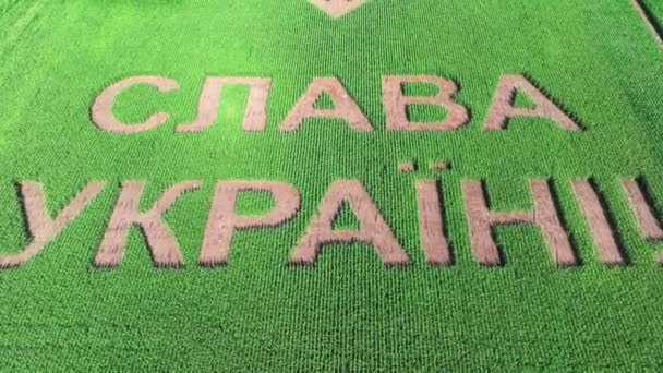 荣耀归于乌克兰和位于绿地中央的乌克兰国徽三叉戟 影像4K — 图库视频影像