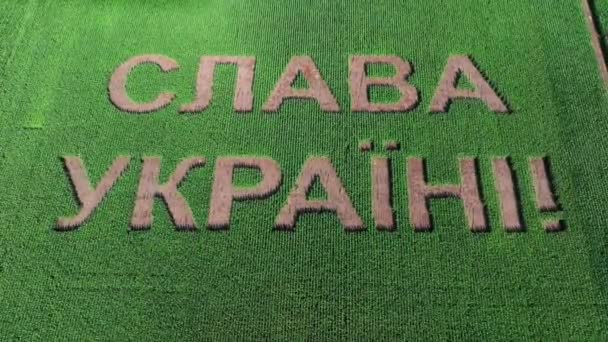 荣耀归于乌克兰和位于绿地中央的乌克兰国徽三叉戟 影像4K — 图库视频影像