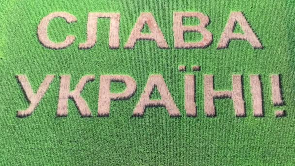 Sláva Ukrajině Ukrajinskému Erbu Trident Uprostřed Zeleného Pole Záběr — Stock video