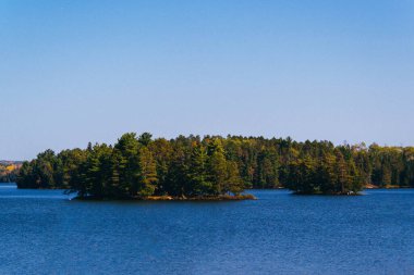 Parktaki gölün güzel manzarası
