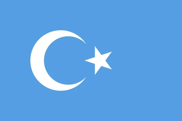 Bandera Simple Turquestán Oriental Tamaño Correcto Proporción Colores — Vector de stock