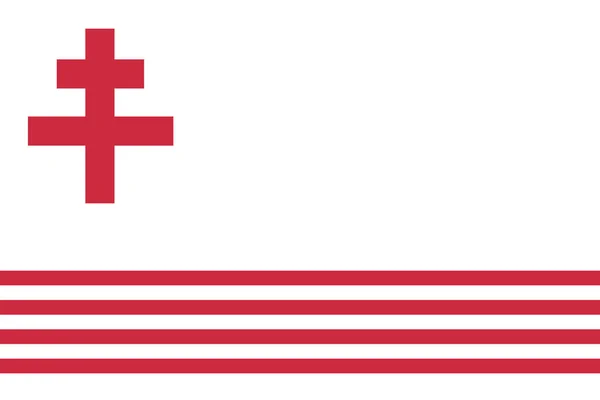 Простой Флаг Частиума Правильный Размер Пропорции Цвета — стоковый вектор