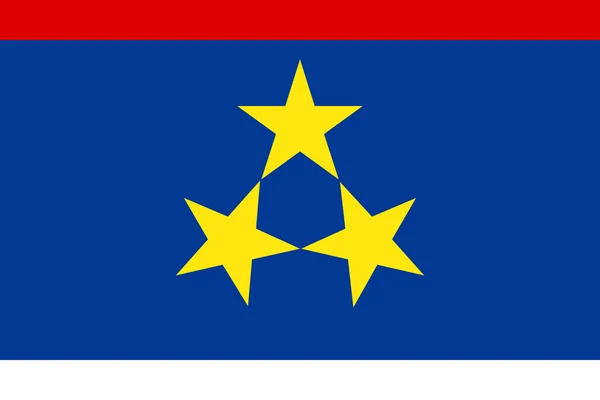 Bandera Simple Vojvodina Tamaño Correcto Proporción Colores — Archivo Imágenes Vectoriales