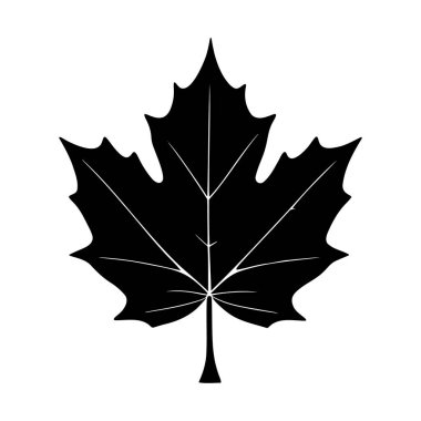 Akçaağaç yaprağı silueti logosu beyaz arkaplan, vektör simgesi üzerinde izole