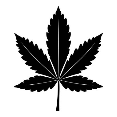 Beyaz arkaplan, vektör simgesi üzerinde izole edilmiş palmiye yaprağı logosu