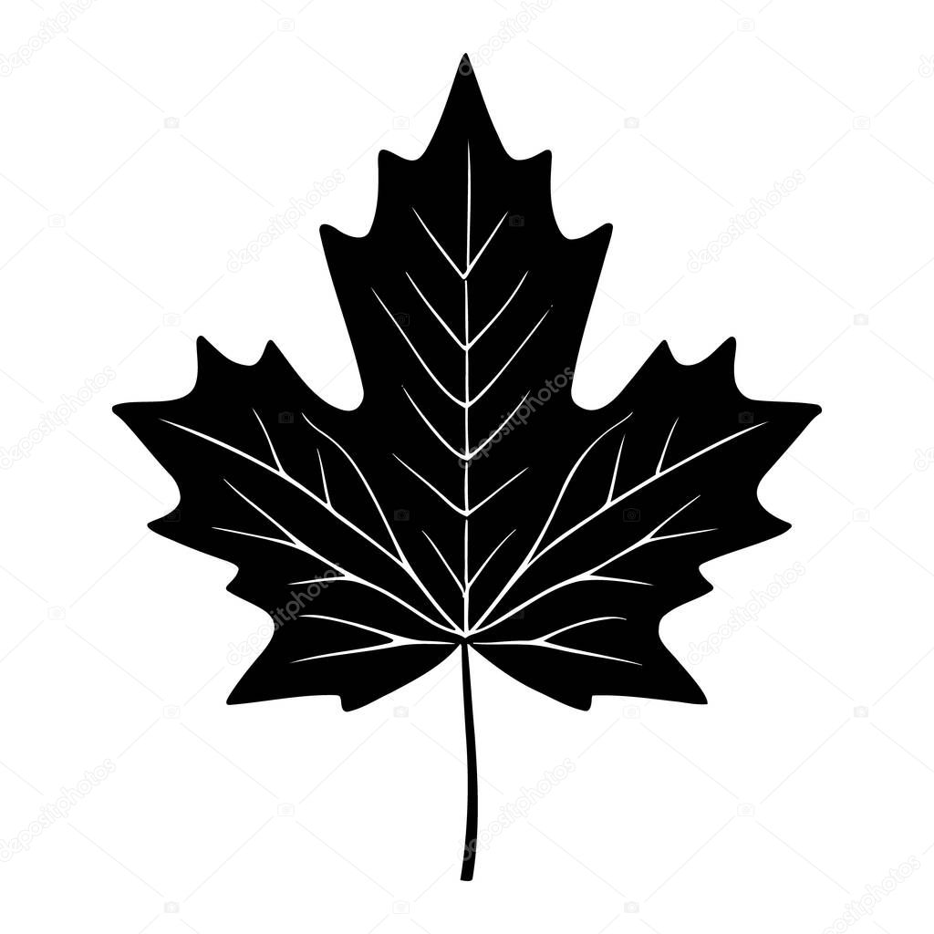 Maple leaf silhouette logo isolated on white background, vector icon