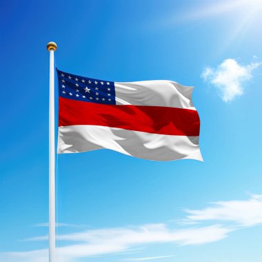 Amazonların dalgalanan bayrağı, Brezilya 'nın gökyüzü arka planında bulunan bir bayrak direğidir..