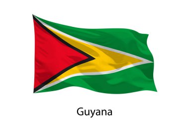 Guyana 'nın 3D gerçekçi dalgalanan bayrağı izole edildi. iposter tasarımı için şablon