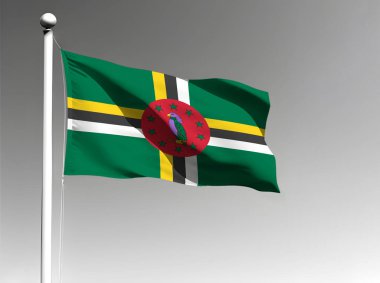 Dominika ulusal bayrağı gri arkaplanda dalgalanıyor