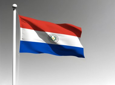 Paraguay ulusal bayrağı gri arkaplanda tek başına dalgalanıyor