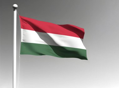 Macaristan ulusal bayrağı gri arkaplanda dalgalanıyor