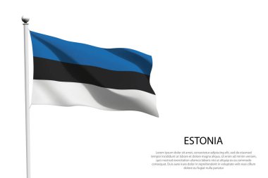 Beyaz arka planda dalgalanan ulusal Estonya bayrağı