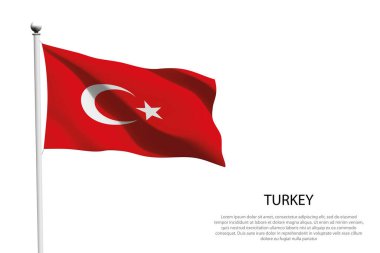 Türkiye 'nin ulusal bayrağı beyaz zemin üzerinde dalgalanıyor