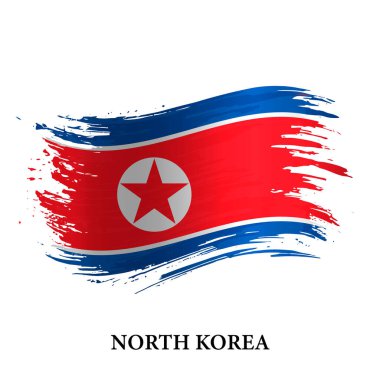 Kuzey Kore Grunge bayrağı, fırça darbesi vektör arkaplan 
