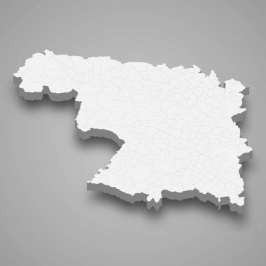 3d izometrik Zamora haritası İspanya 'nın sınır belediyelerinin yer aldığı bir ildir.