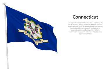 Connecticut bayrağı, Amerika Birleşik Devletleri 'nin beyaz arka planda bulunan tek bayrağıdır.. 