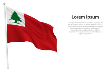 Kıtasal sallanan tarihi bayrak, erken dönem Amerikan bağımsızlığını simgeliyor..