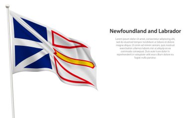 Newfoundland ve Labrador eyaleti Kanada 'nın beyaz arka planda bulunan tek bayrağıdır.. 