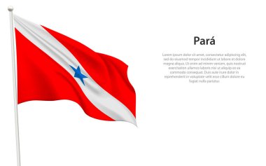 Paraşüt bayrağı Brezilya 'nın beyaz arka planda bulunan bir eyaletidir.. 