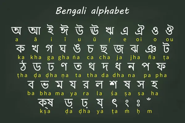 stock vector Bengali alphabet chart featuring characters and English transliteration, set against a green background