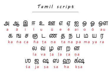 Tamil alphabet chart featuring characters with Romanized transliteration clipart