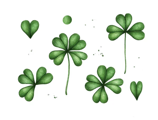 Four leaf clover. Green watercolor leave isolated on white background. Patricks Day design 