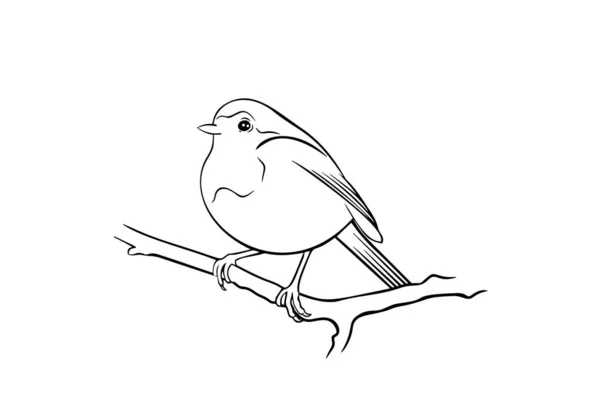 Black White Ink Drawing Robin Bird Coloring Page Hand Drawn — Stock Vector