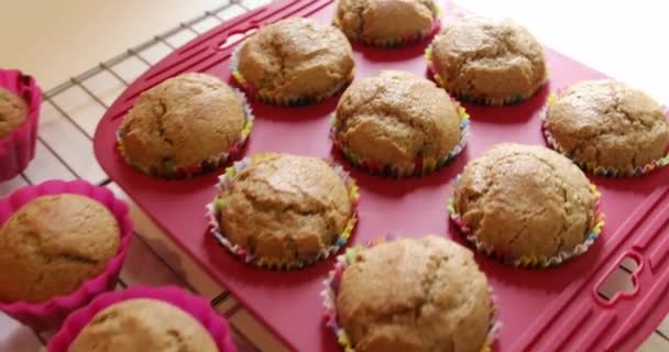 Vers Gekookte Muffins Hun Vorm Koelen Een Ovenrek — Stockvideo