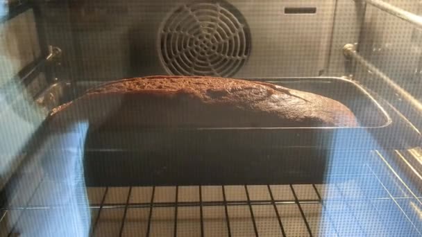 Csokoládé Torta Penész Főzés Sütőben — Stock videók
