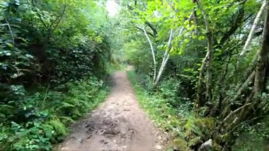 Ardisana Vadisi 'nde, Llanes, Asturias, İspanya' da yemyeşil bir ormanda yürüyüş yapmak. Görüş Noktası (POV), öznel görünüm