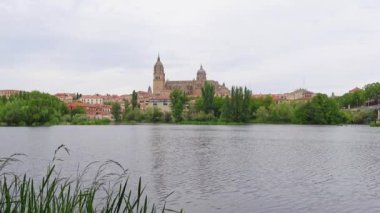 Tormes Nehri, Castilla y Leon, İspanya katedrali ile Salamanca şehrinin manzarası