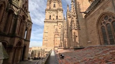 Salamanca 'nın eski katedralinin çatısında çan kulesi Castilla y Leon' a doğru yürüyorum.
