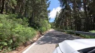 İspanya, Madrid 'de, Sierra de Guadarrama' da, Canencia dağ geçidine doğru giden güzel bir ormanın yanındaki yolda ilerliyoruz.