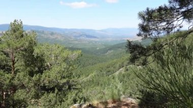 İspanya, Madrid 'deki Guadarrama Ulusal Parkı' ndaki Canencia dağ geçidi yakınlarındaki verimli çam ağaçları arasında dağın tepesinden güzel bir vadi manzarası.