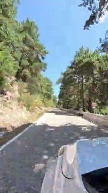 Madrid 'de, İspanya' da, Sierra de Guadarrama 'da, Canencia dağ geçidine doğru güzel bir ormanın yanındaki yolda giderken,