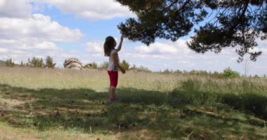 4k video: 4 yaşındaki sarışın kız Guadarrama dağlarında, Madrid 'de, İspanya' da, Avrupa 'da bir ağacın dallarının altında yürüyor.